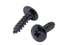 10 X 3/4" Stainless Truss Head Phillips Wood Screw, (25pc), Black Xylan Coated 18-8 (304